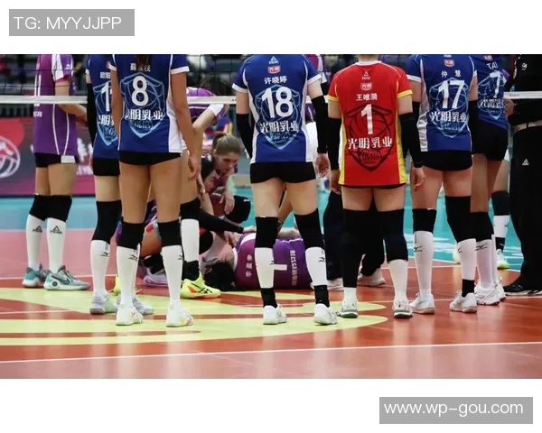 外援领衔,新人主打!天津女排抛弃王艺竹陈博雅等人,联赛大换血