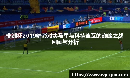 非洲杯2019精彩对决马里与科特迪瓦的巅峰之战回顾与分析